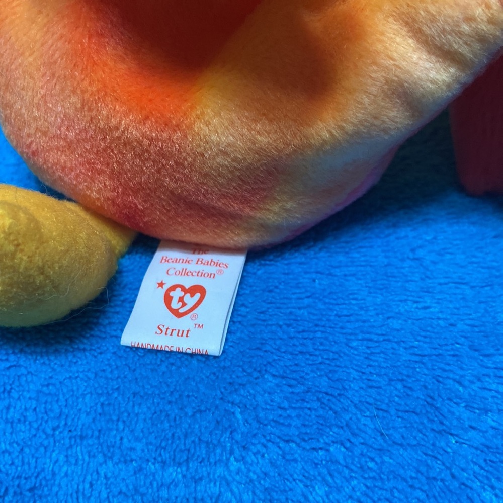 A bird and their buddy! - Picture 4 of 6